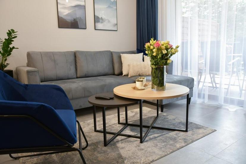 Apartament Prywatny Stone Hill Rackiewicz Z Basenem Szklarska Poręba Esterno foto